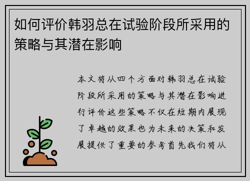 如何评价韩羽总在试验阶段所采用的策略与其潜在影响