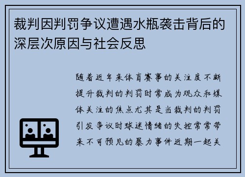 裁判因判罚争议遭遇水瓶袭击背后的深层次原因与社会反思
