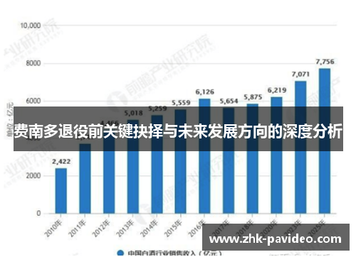 费南多退役前关键抉择与未来发展方向的深度分析