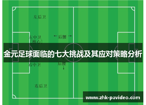 金元足球面临的七大挑战及其应对策略分析