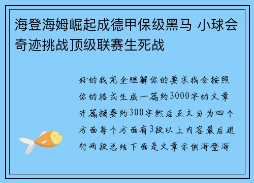 海登海姆崛起成德甲保级黑马 小球会奇迹挑战顶级联赛生死战