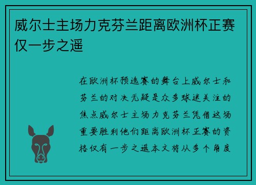 威尔士主场力克芬兰距离欧洲杯正赛仅一步之遥 威尔士主场力克芬兰距离欧洲杯正赛仅一步之遥